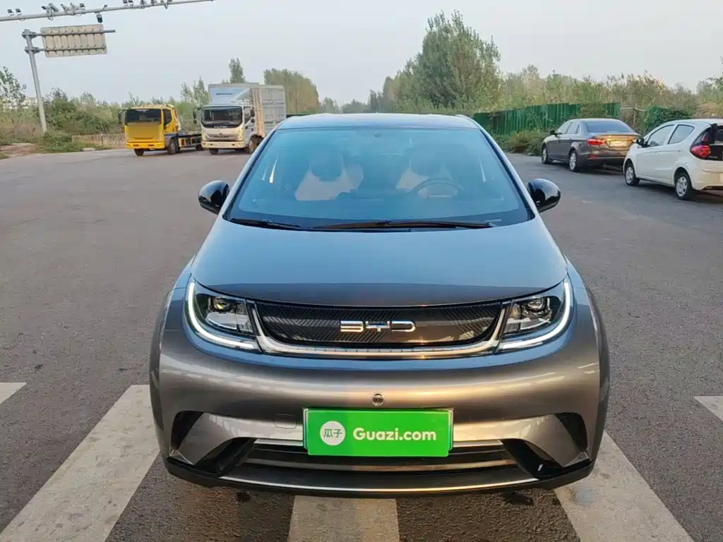 BYD Dolphin — миниатюра 3