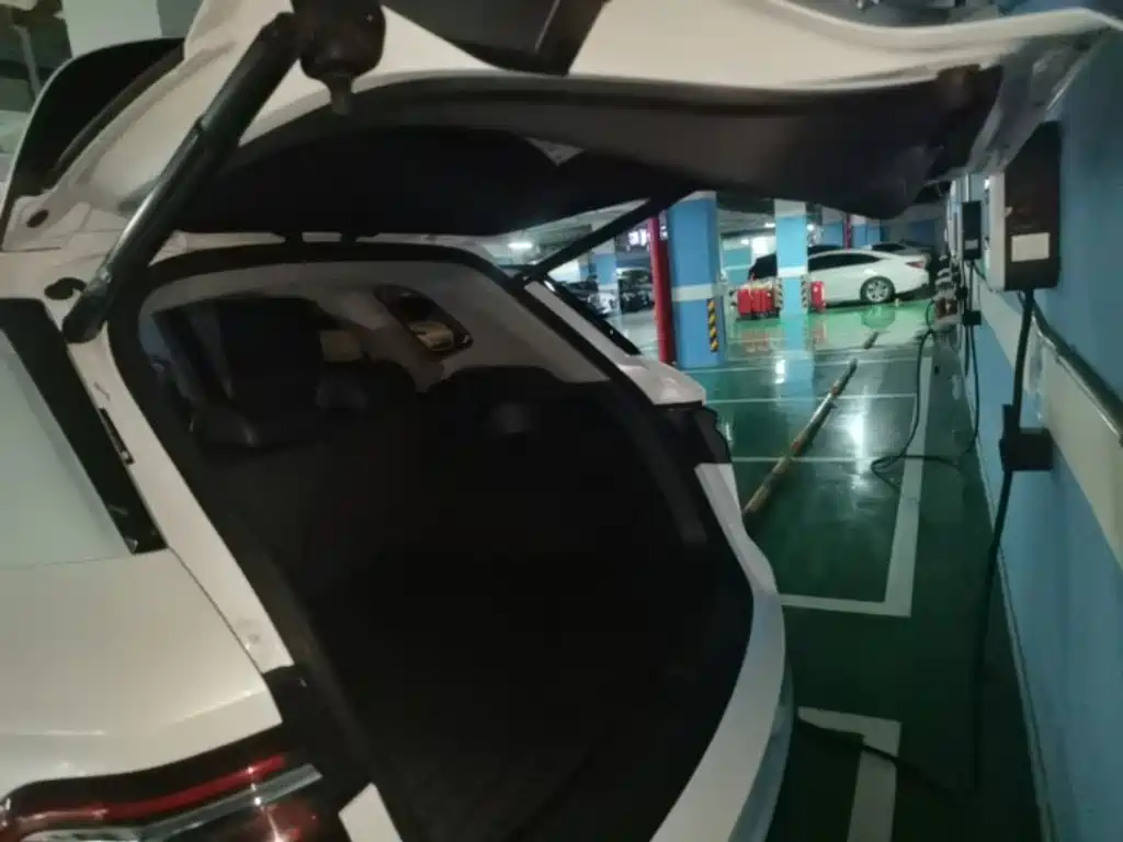 BYD Pro New Energy — миниатюра 19