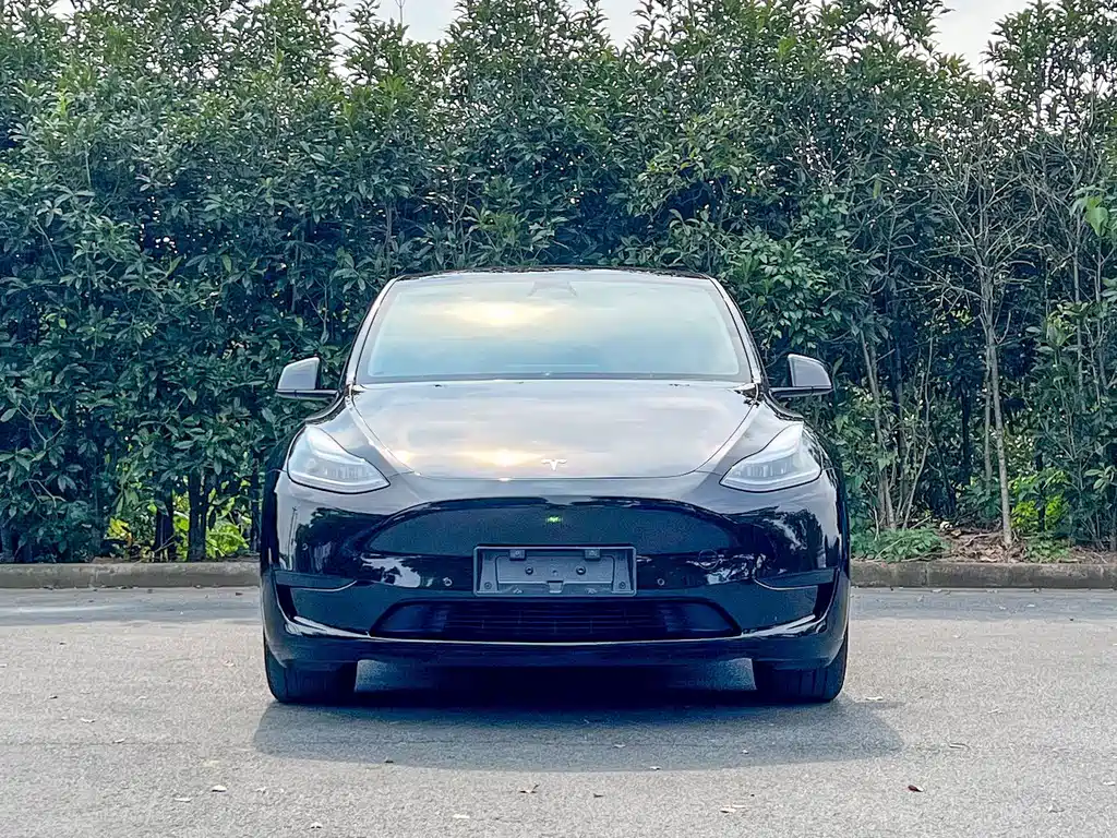 Tesla Model Y — миниатюра 2