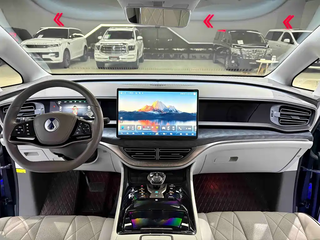 Denza Denza D9 — миниатюра 10