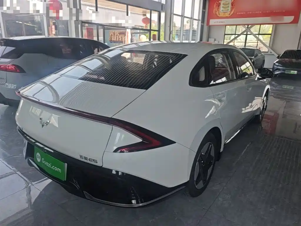 Wuling E5 2024 510km Standard