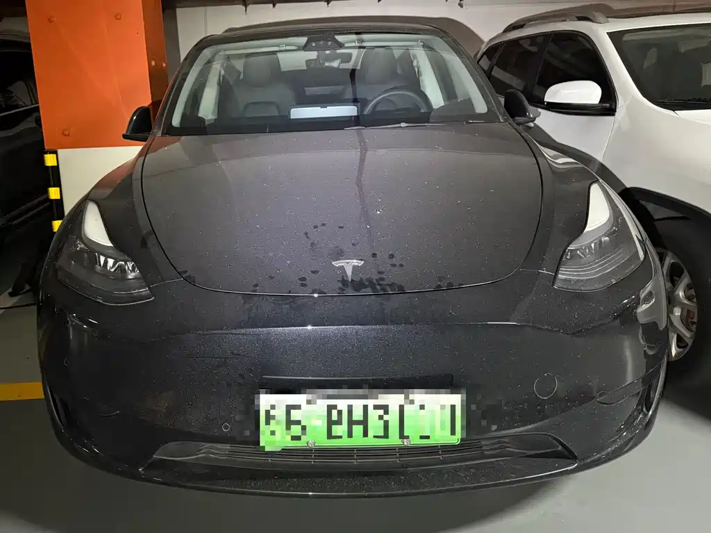 Tesla Model Y — миниатюра 2