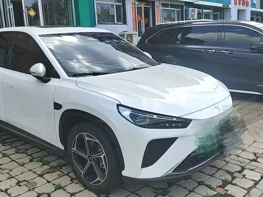 Neta Neta L — миниатюра 2