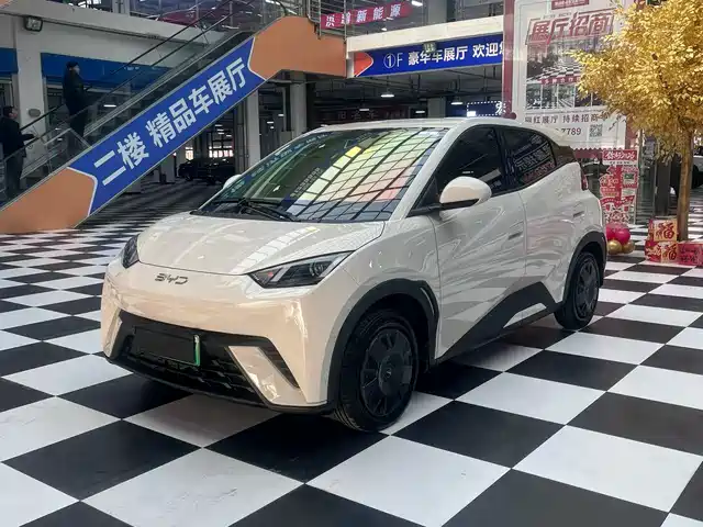 2025 BYD Seagull