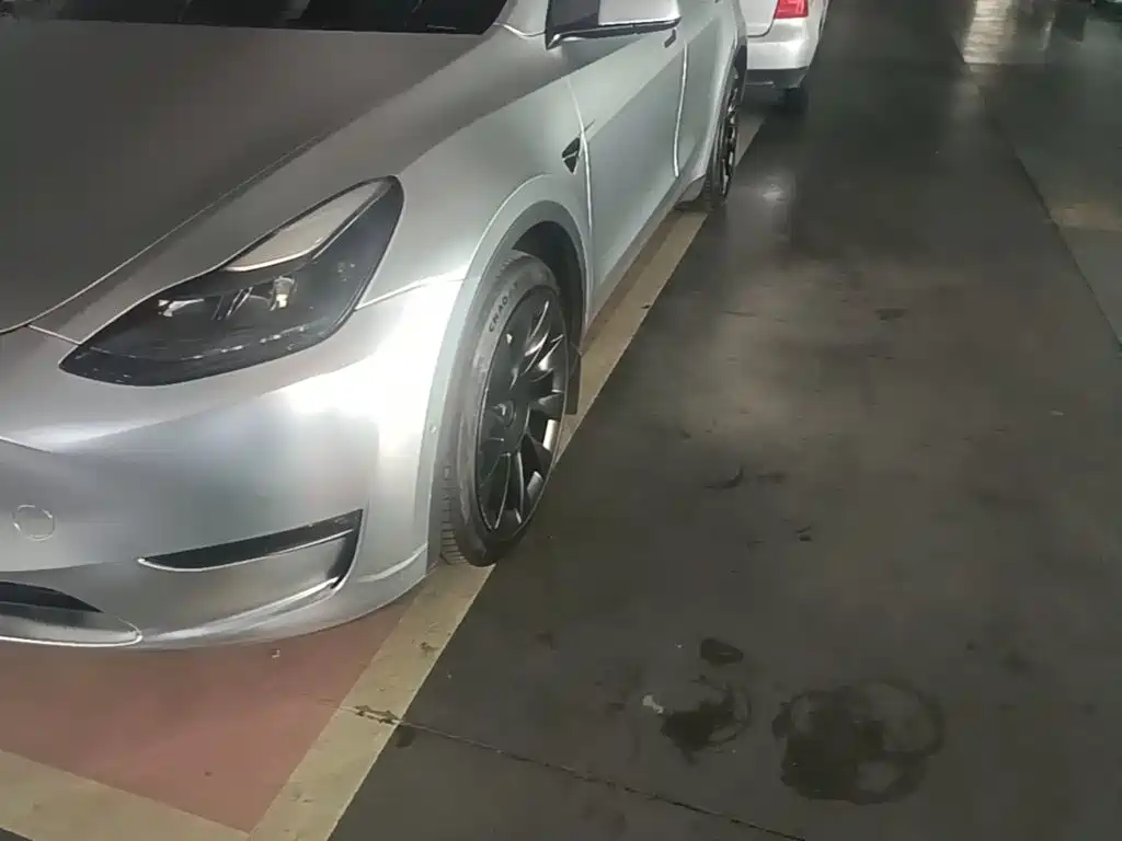 Tesla Model Y — миниатюра 23
