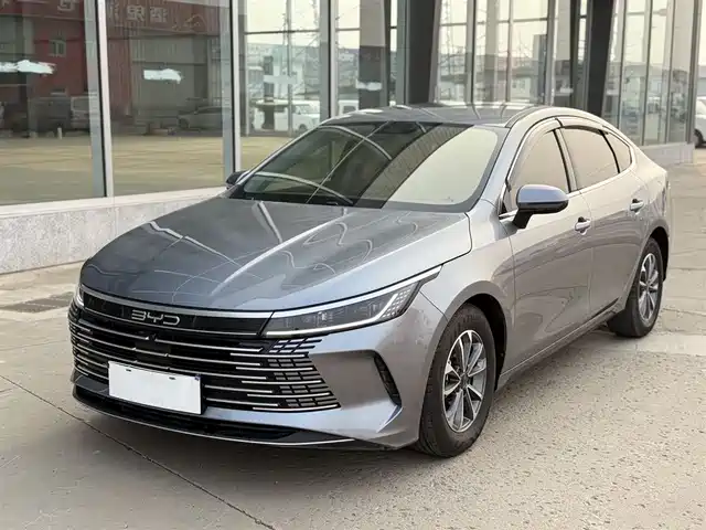 BYD DESTROYER 05 2024