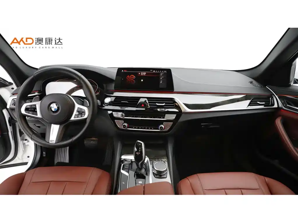 BMW 5 Series — миниатюра 5