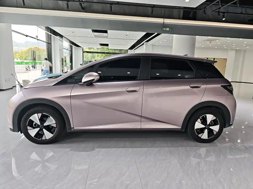 BYD Dolphin — миниатюра 6