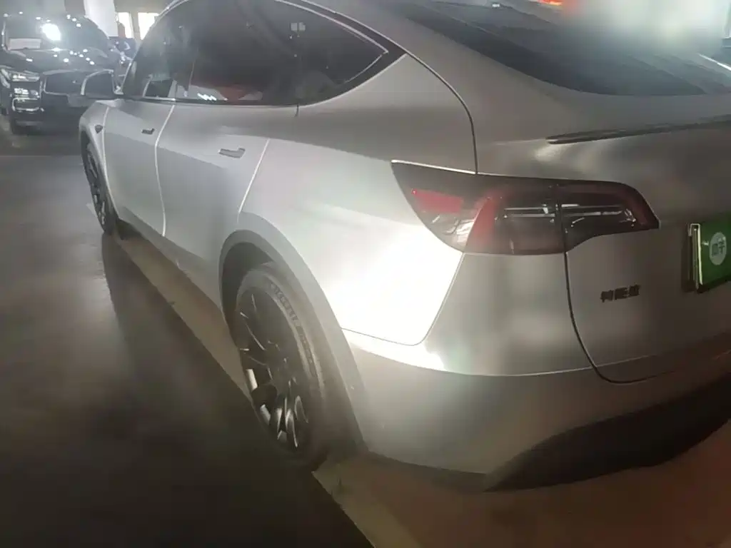 Tesla Model Y — миниатюра 5