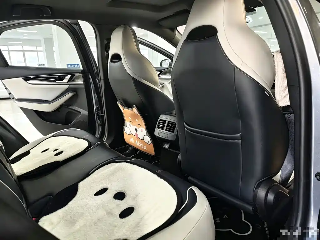BYD Qin PLUS — миниатюра 12
