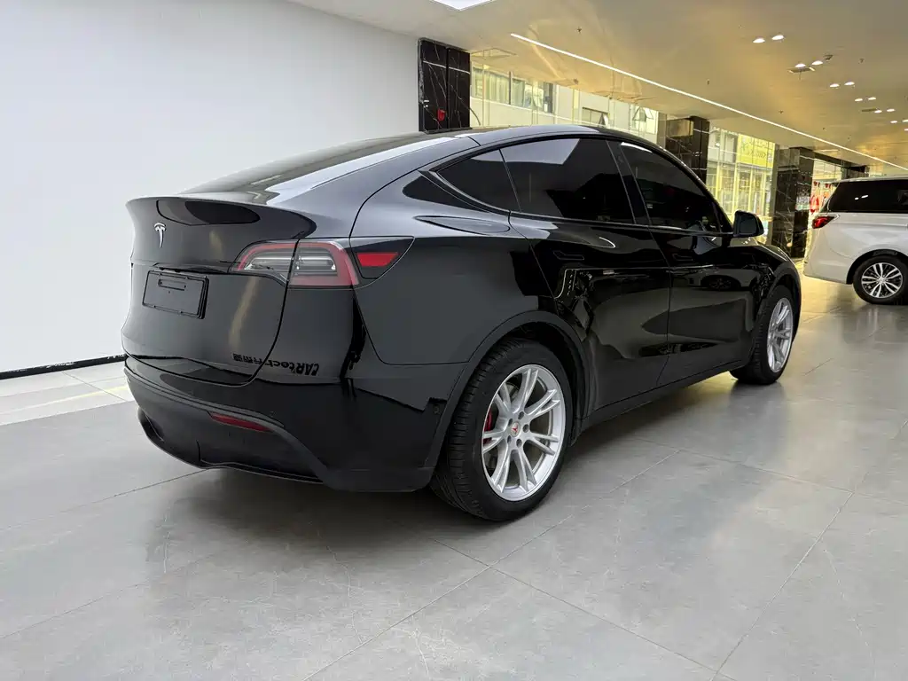 Tesla Model Y — миниатюра 3