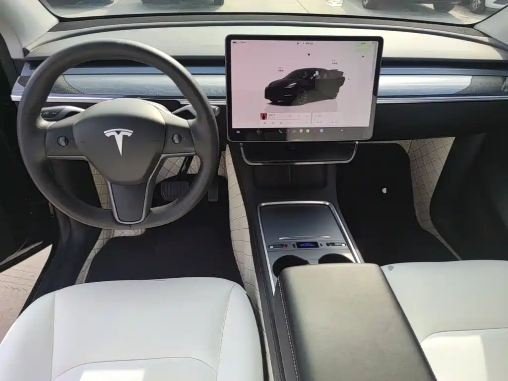 Tesla Model Y — миниатюра 10