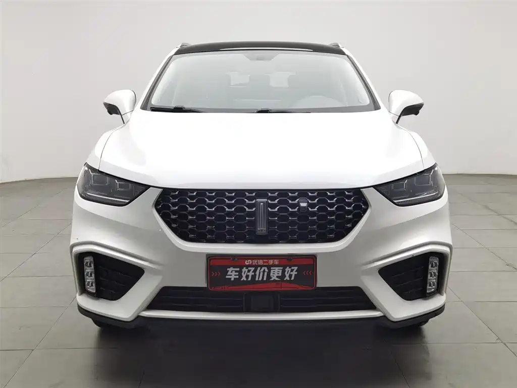 WEI PAI WEI BRAND VV5