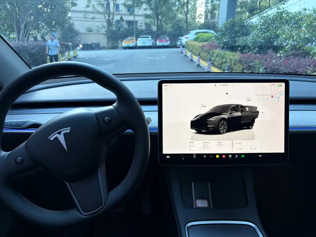 Tesla Model Y — миниатюра 20