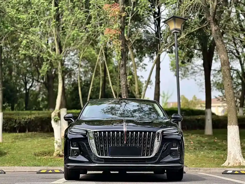 Hongqi Hongqi H5 — миниатюра 2