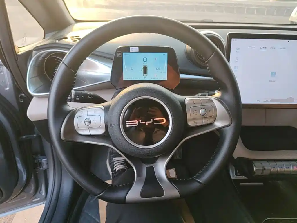 BYD Dolphin — миниатюра 11