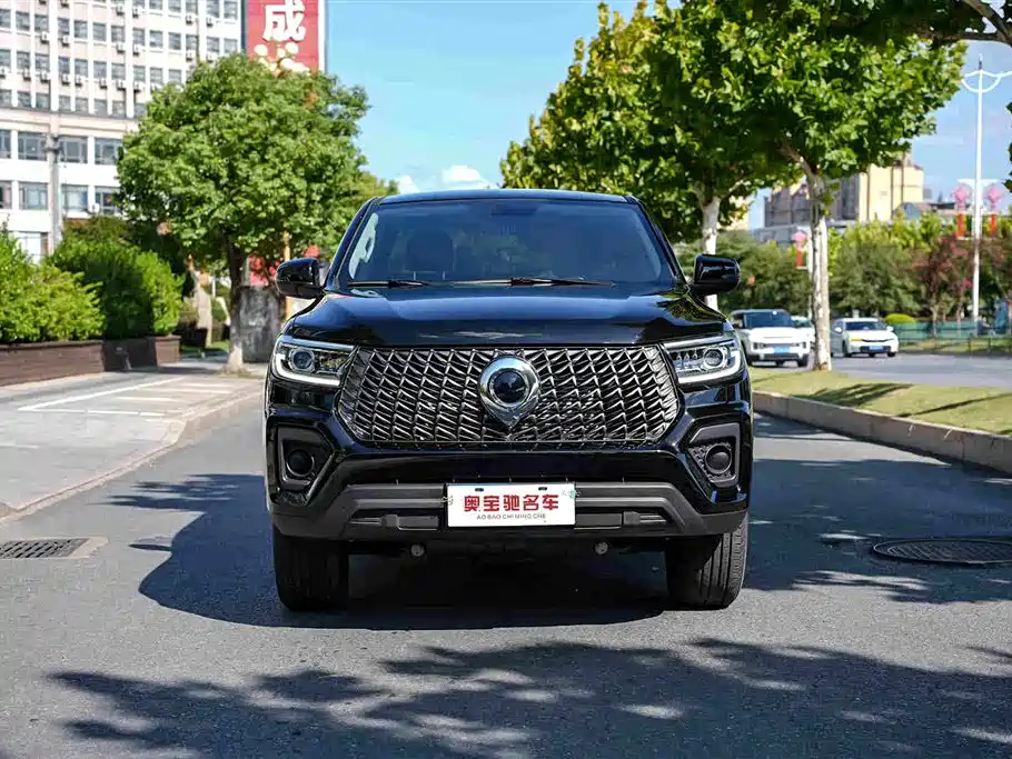 Great Wall Pao — миниатюра 2