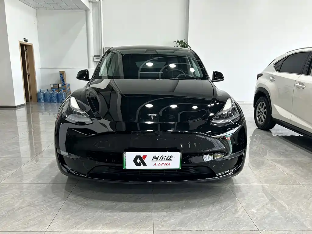 Tesla Model Y — миниатюра 2