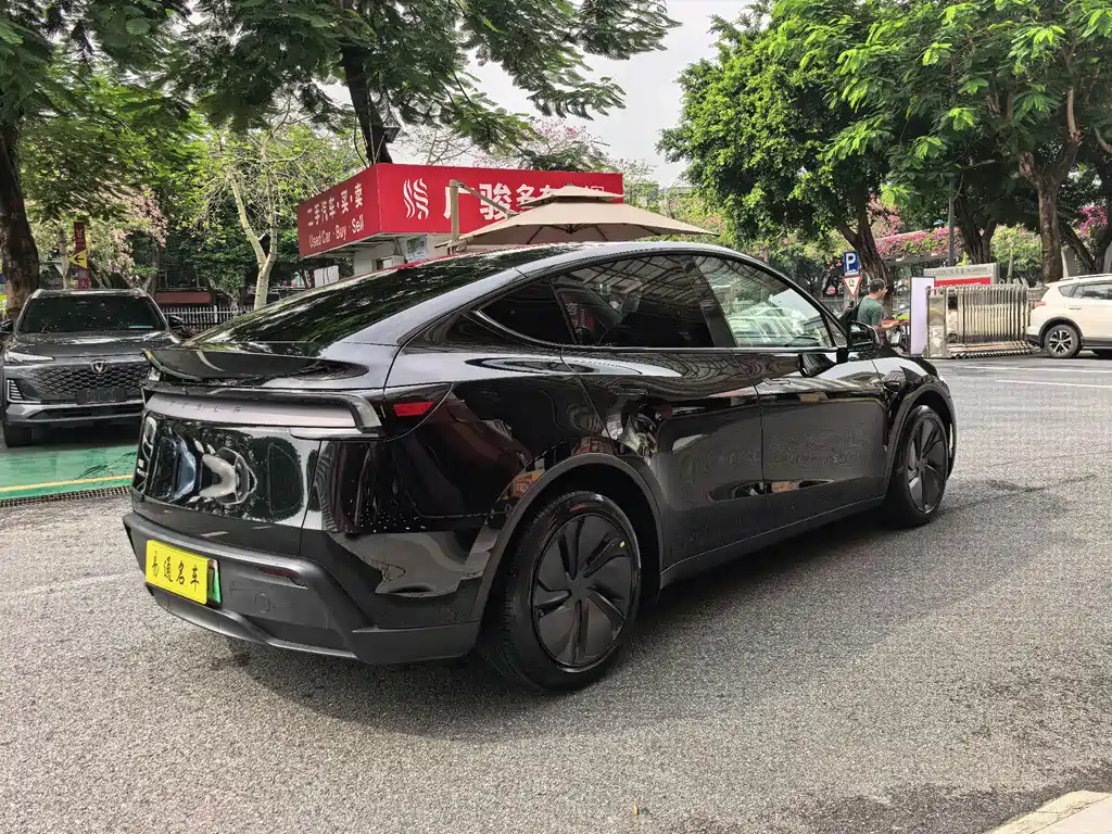 Tesla Model Y — миниатюра 6