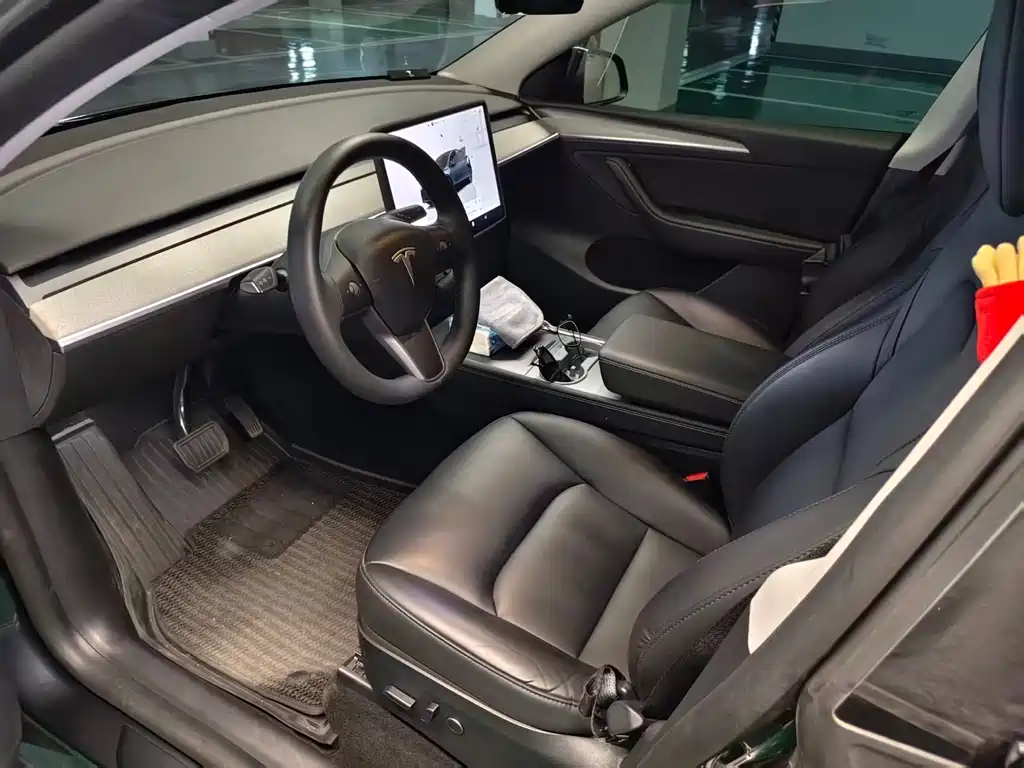 Tesla Model Y — миниатюра 8