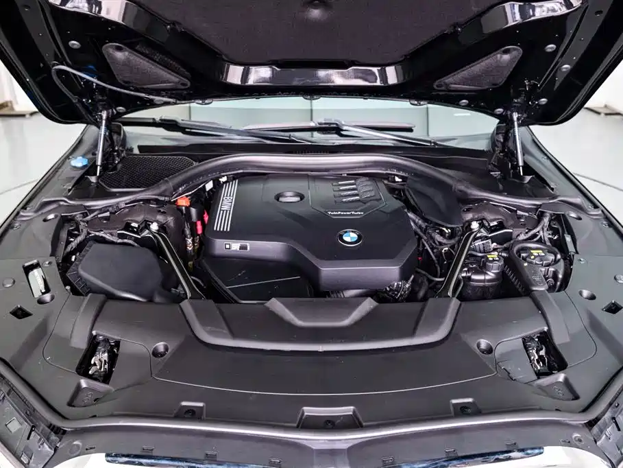 BMW 7 Series 7 2021 730Li Luxury