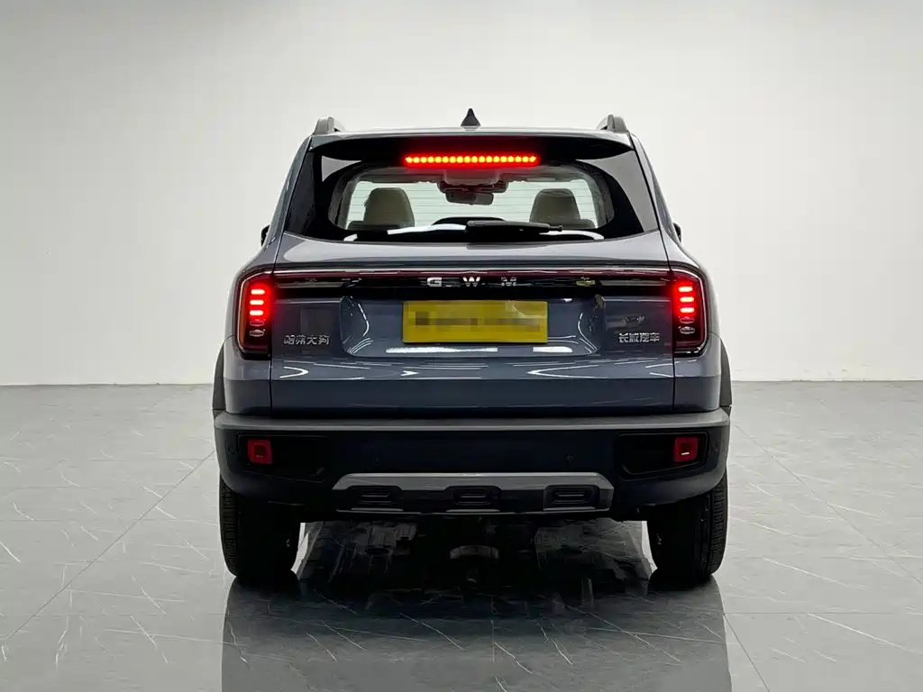 Haval Big Dog — миниатюра 5
