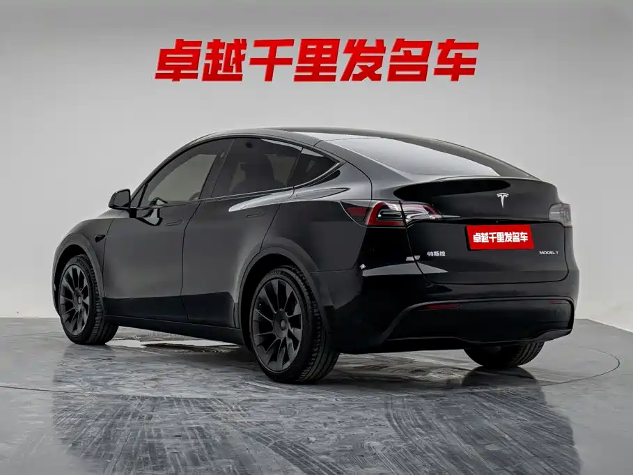 Tesla Model Y — миниатюра 6