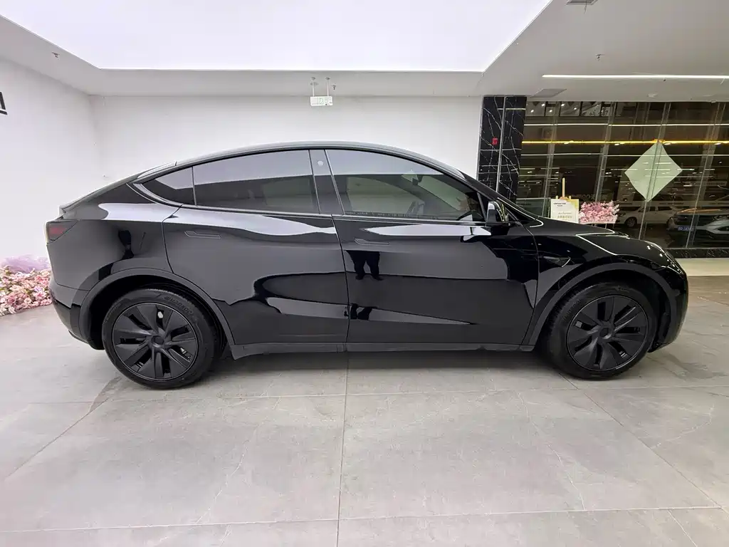Tesla Model Y — миниатюра 11