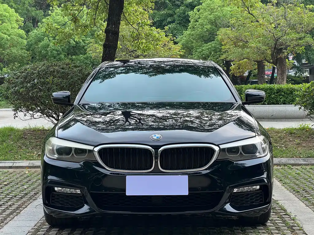 BMW 5 Series 5 2018 530Li xDrive M Sport