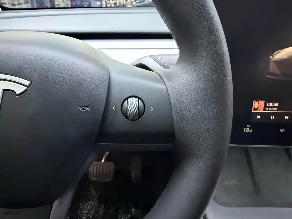 Tesla Model Y — миниатюра 24