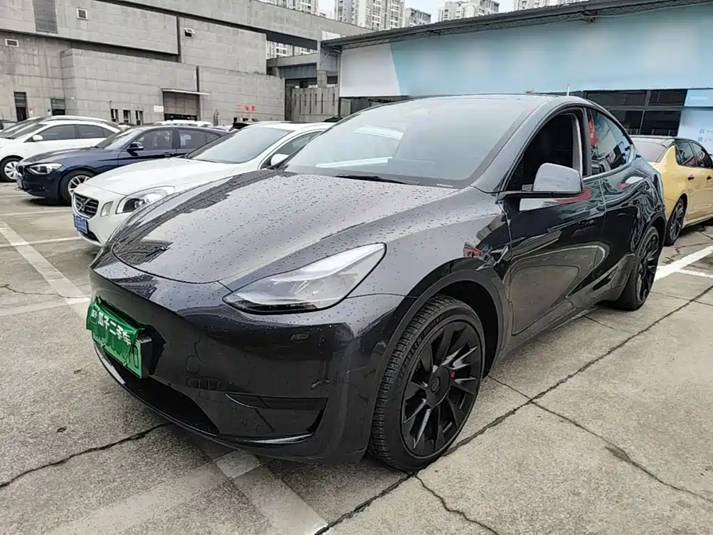 Tesla Model Y — миниатюра 2