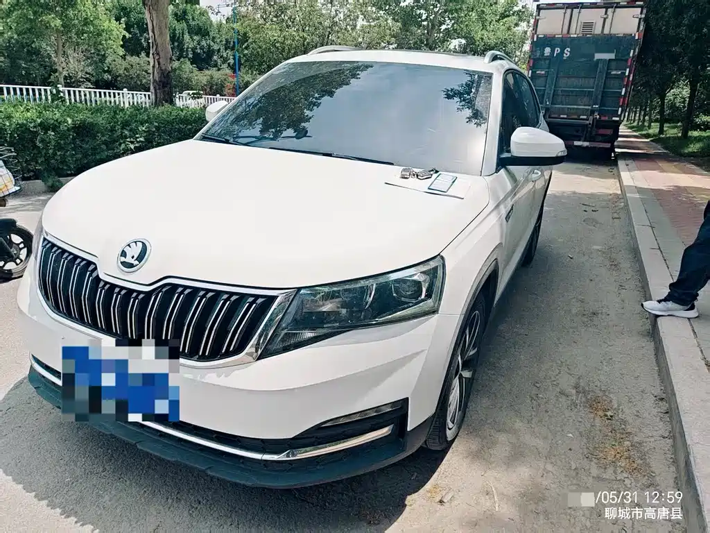 Купить Skoda Kamiq