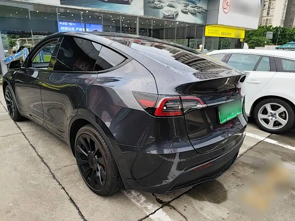 Tesla Model Y — миниатюра 5