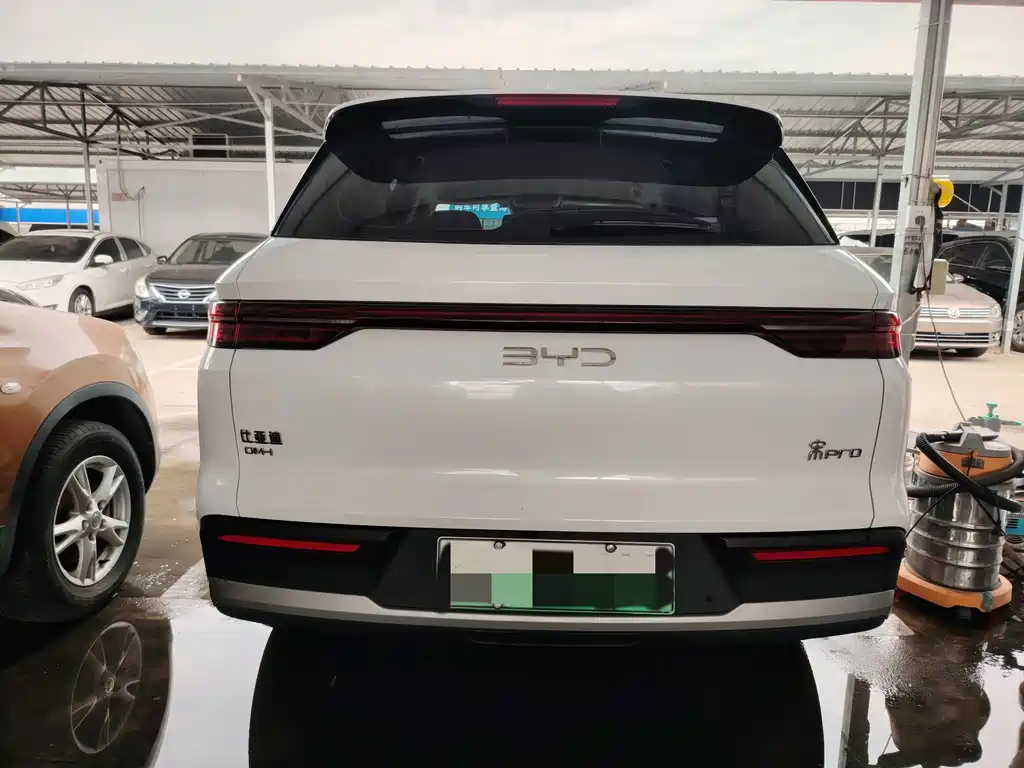 BYD Pro New Energy - фото 14