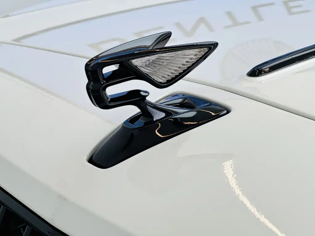 Bentley Flying Spur — миниатюра 23