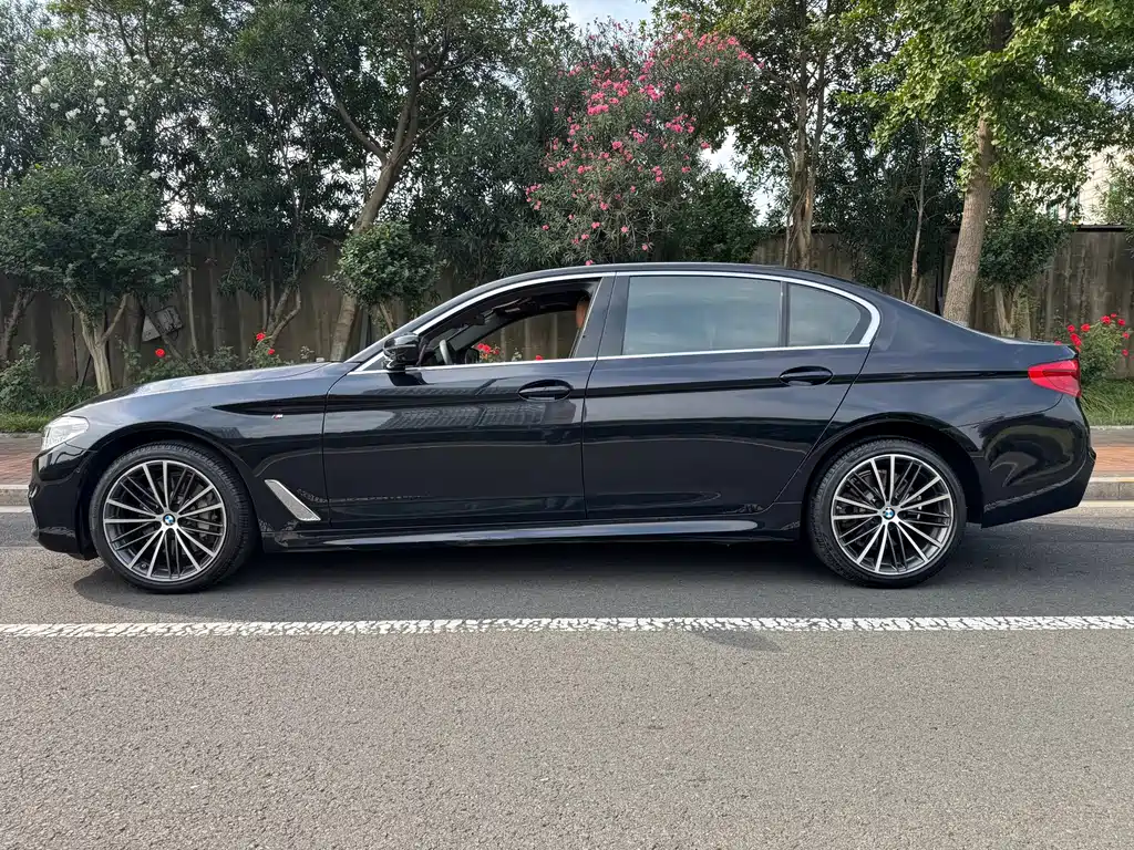 BMW 5 Series 5 2020 530Li Premium M Sport