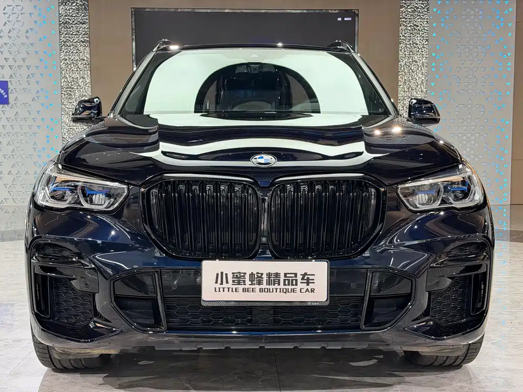 BMW X5 — миниатюра 2