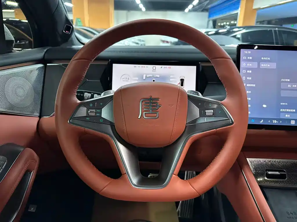 BYD Дон Л. — миниатюра 10