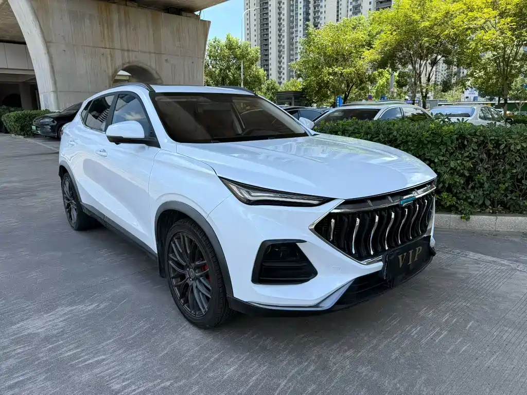 Oshan Oushang X5 — миниатюра 3