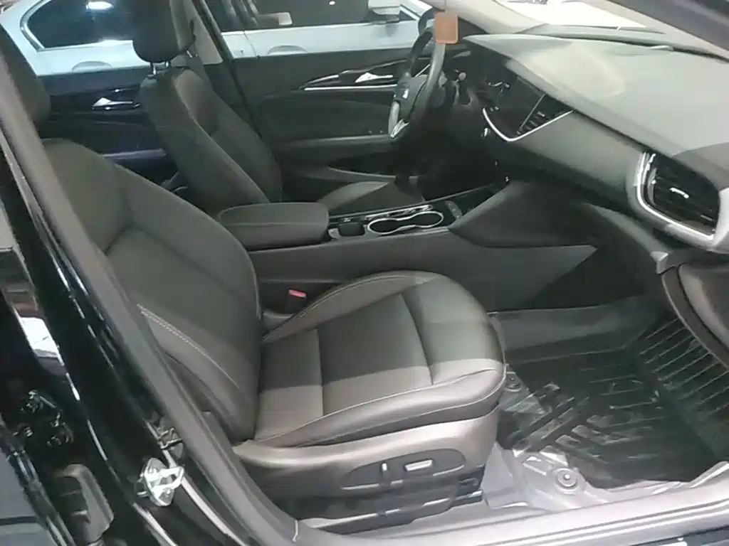 Buick Regal — миниатюра 25