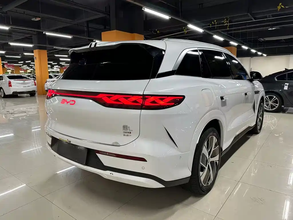 BYD Дон Л. — миниатюра 14
