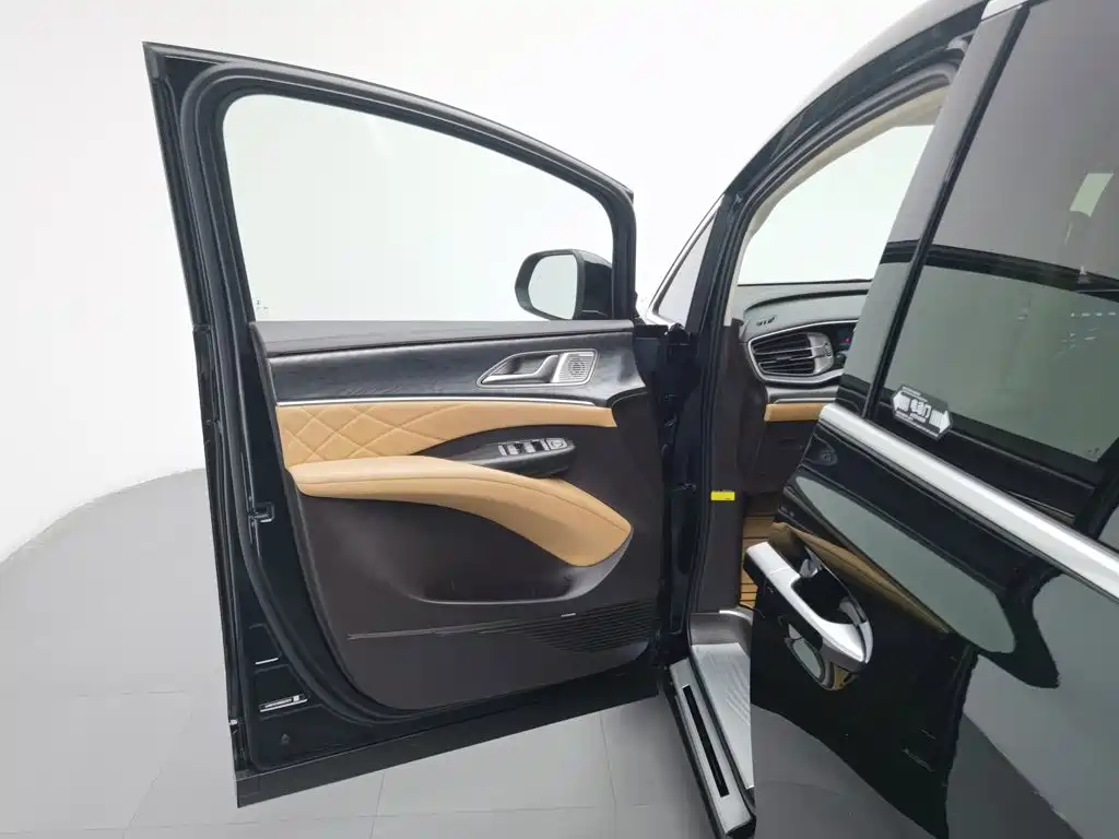 Denza Denza D9 — миниатюра 8
