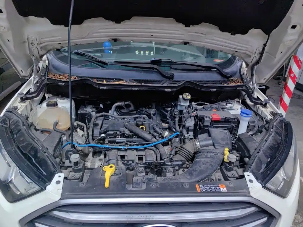 Ford Ecosport — миниатюра 16