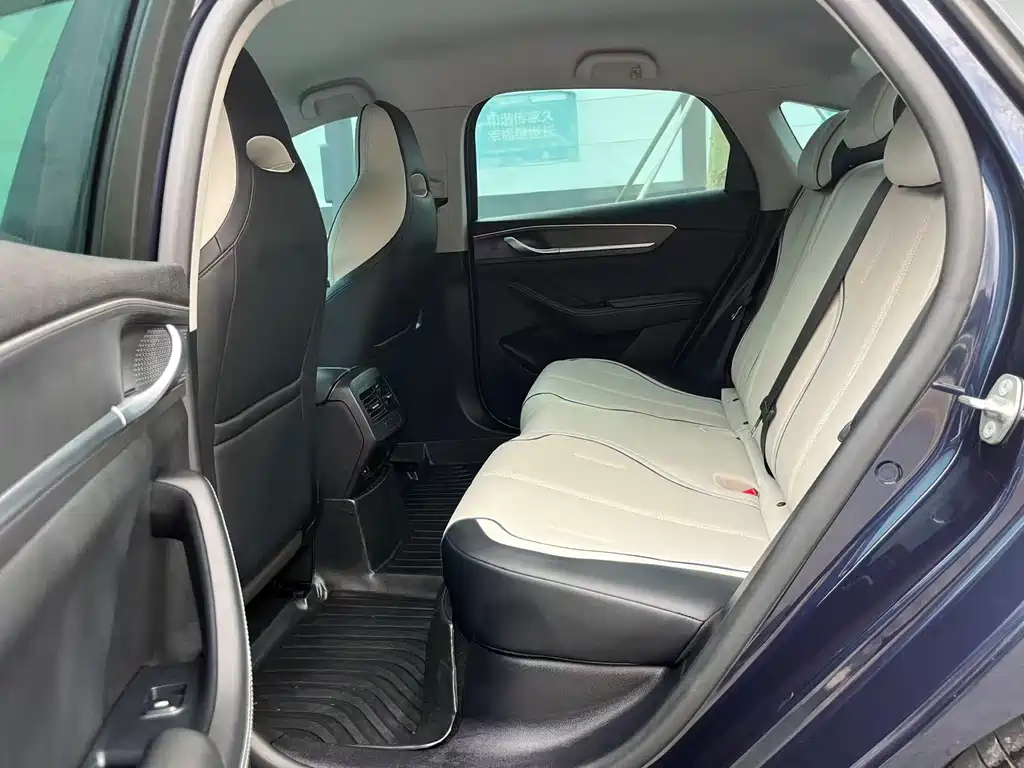 BYD Destroyer 05 2024 DM-i 55KM Luxury