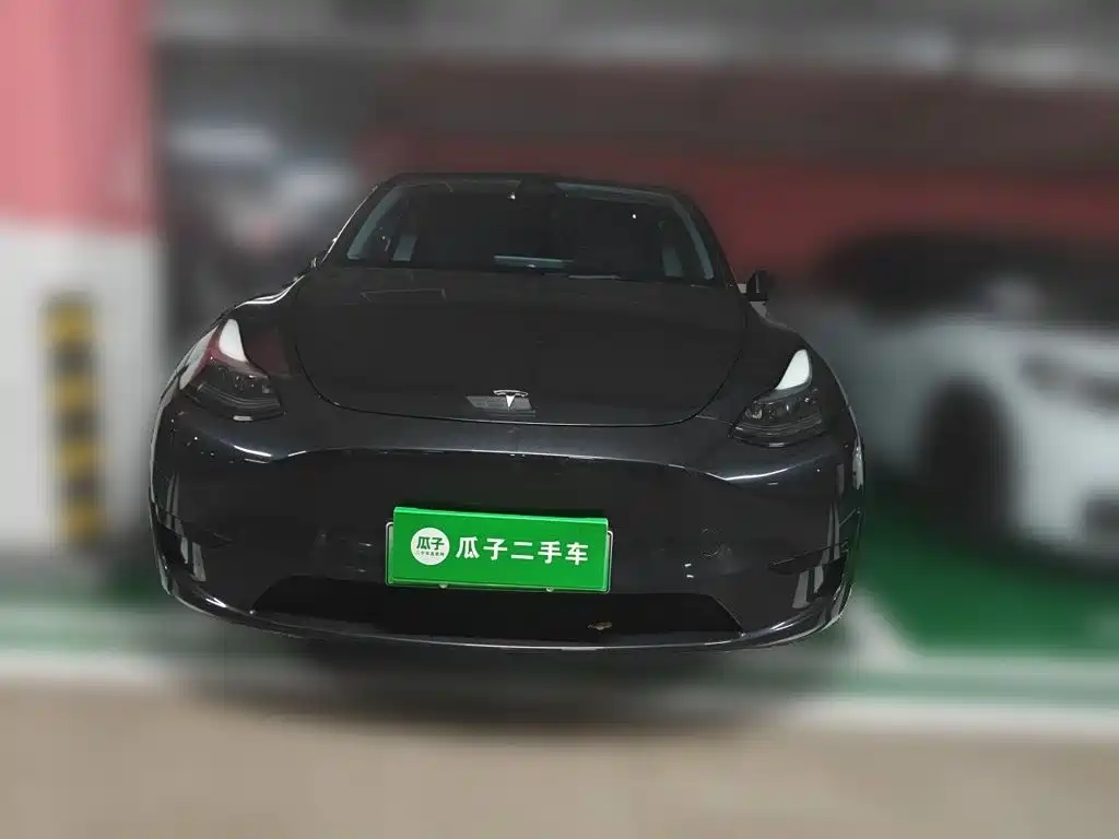Tesla Model Y — миниатюра 2
