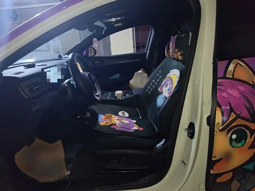 BYD Seal 06 DM-i Touring — миниатюра 11