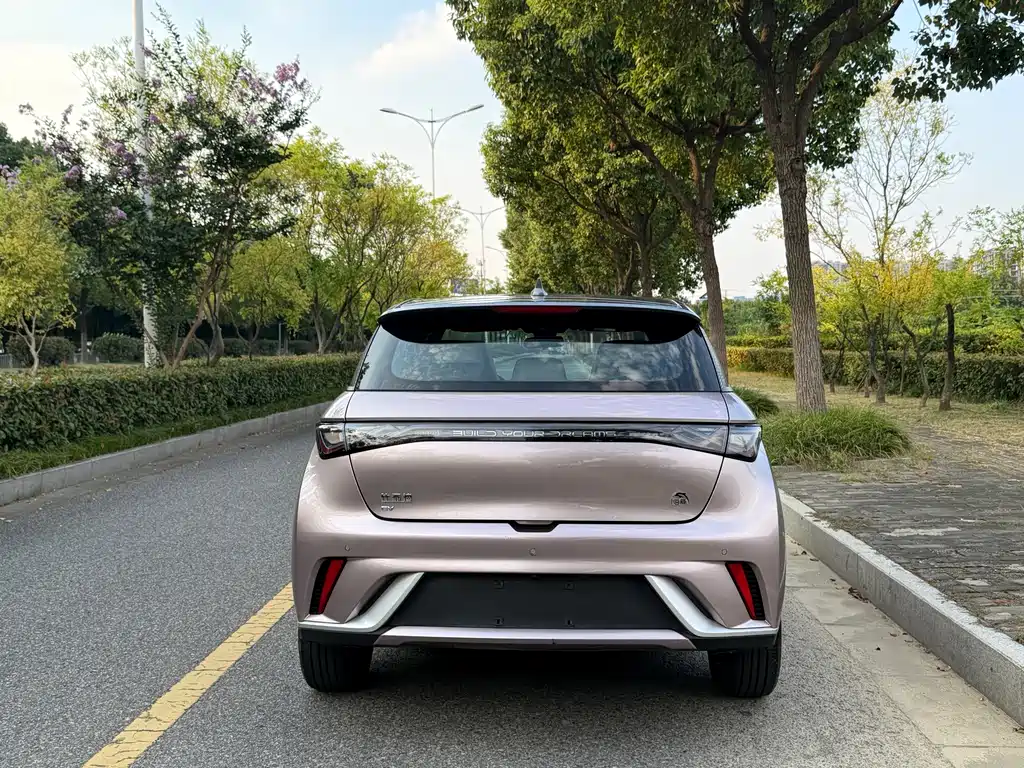 BYD Dolphin — миниатюра 8