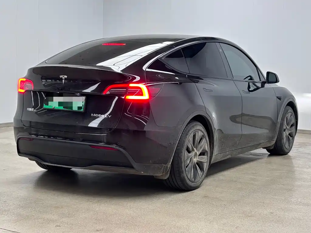 Tesla Model Y — миниатюра 4