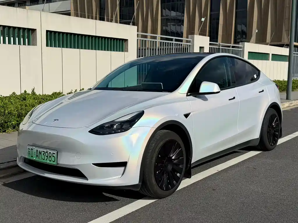 Tesla Model Y — миниатюра 3