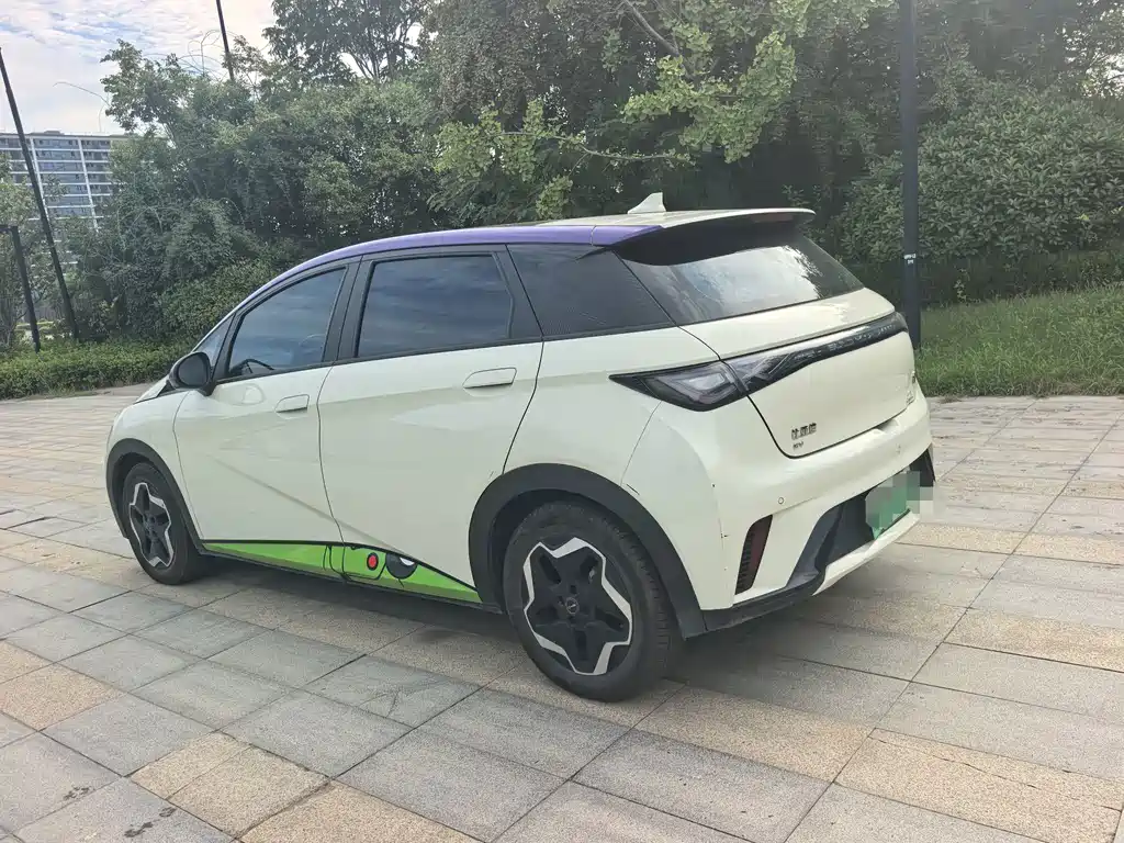 BYD Dolphin — миниатюра 14